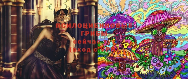 молекула духа Володарск