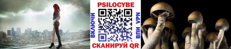blacksprut зеркало  наркотики  Зуевка  Псилоцибиновые грибы MAGIC MUSHROOMS 